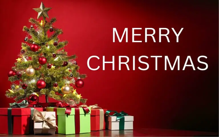 Heartwarming Wishes for Merry Christmas and Happy New Year