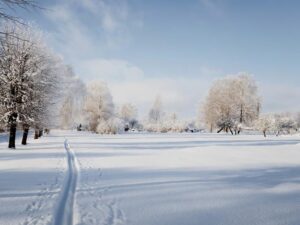 ski trip in Scandinavia planning